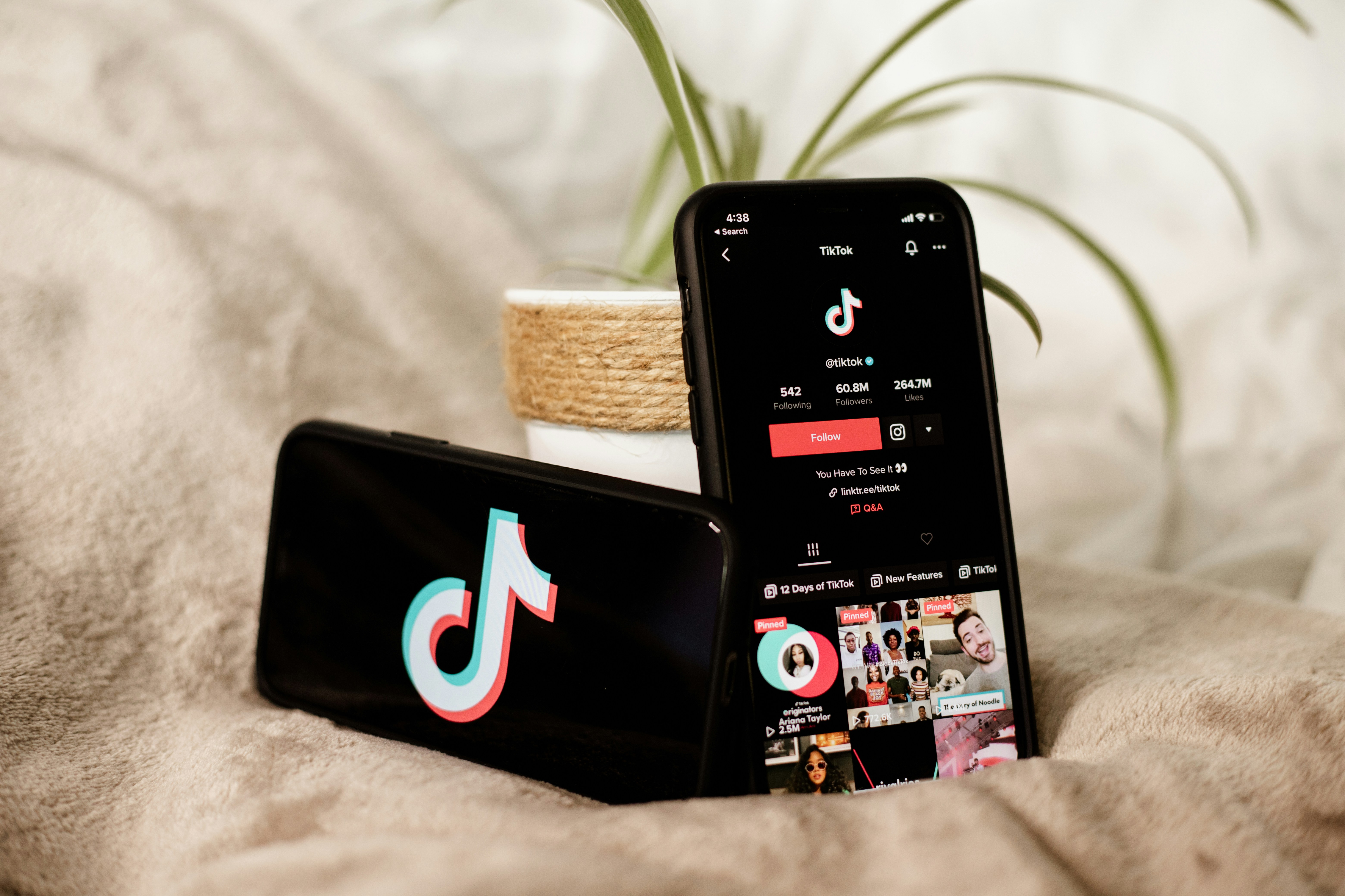 YouTube & TikTok Course